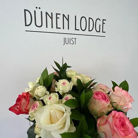 Appartement Duenen 4